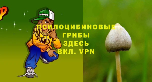 Альфа ПВП Абаза