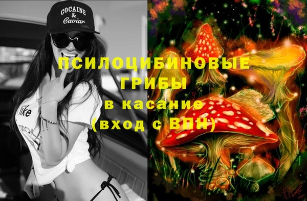 ГАЛЛЮЦИНОГЕННЫЕ ГРИБЫ Абинск