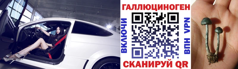 Псилоцибиновые грибы Cubensis  Урень 